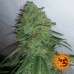 Tangerine Dream - Barney's Farm